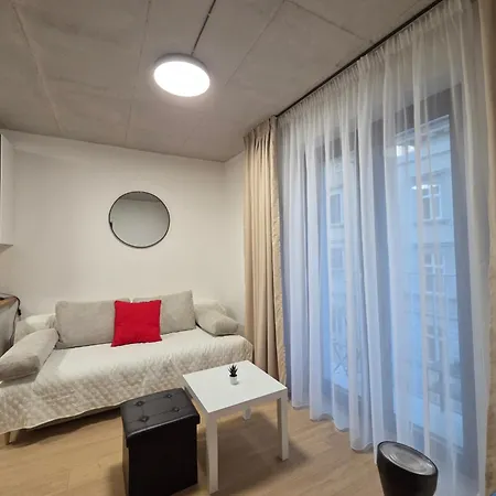 Haas Art With Parking, Bakery, Free Fitness Apartmán Brno