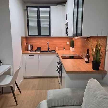 Haas Art With Parking, Bakery, Free Fitness Brno