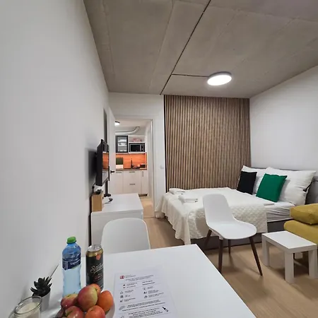 Haas Art With Parking, Bakery, Free Fitness Brno