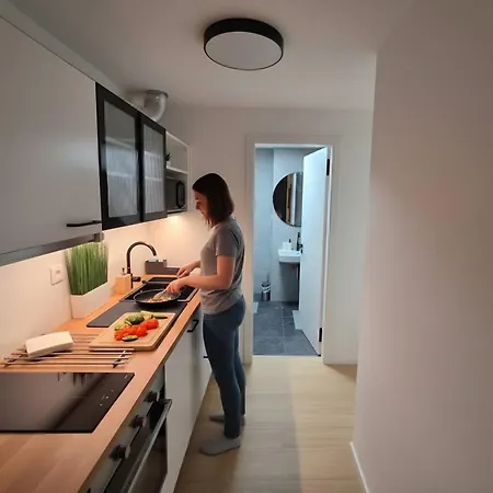 Apartmán Haas Art With Parking, Bakery, Free Fitness Brno