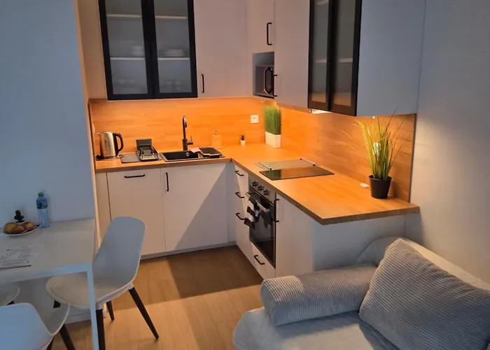 Haas Art With Parking, Bakery, Free Fitness Апартаменты Брно