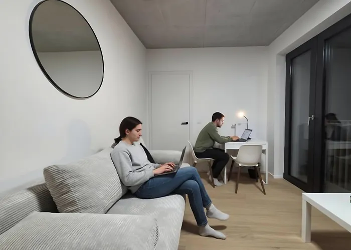 Haas Art With Parking, Bakery, Free Fitness Брно