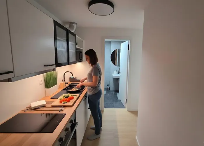 Апартаменты Haas Art With Parking, Bakery, Free Fitness Брно