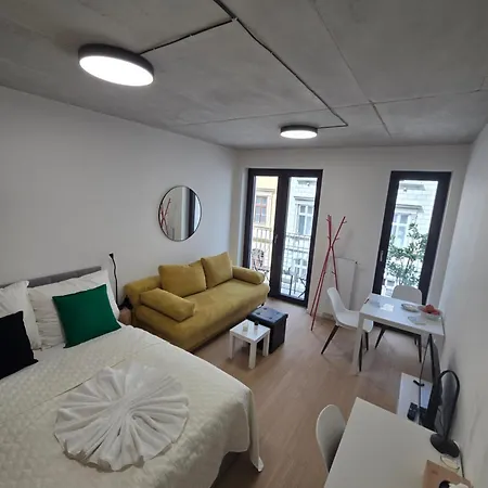 Haas Art With Parking, Bakery, Free Fitness * Brno