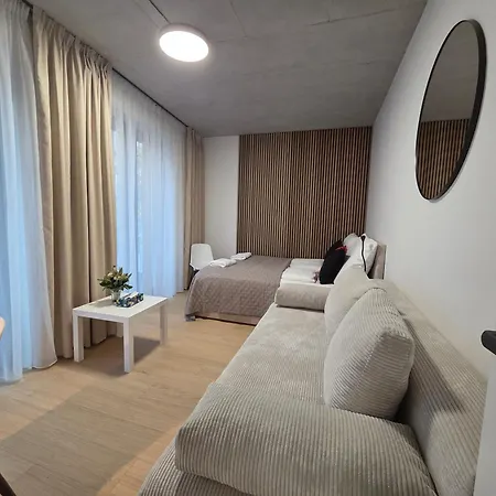 Haas Art With Parking, Bakery, Free Fitness Appartement *