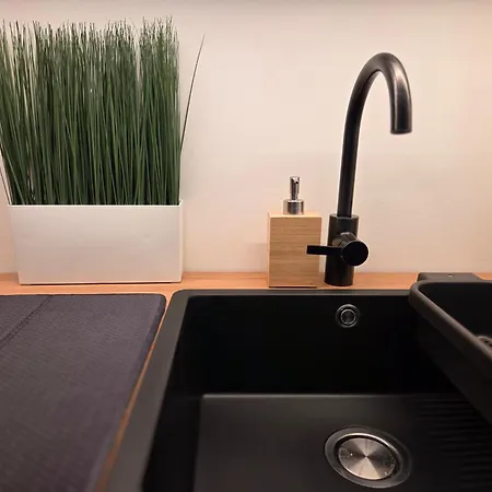 Haas Art With Parking, Bakery, Free Fitness 브르노