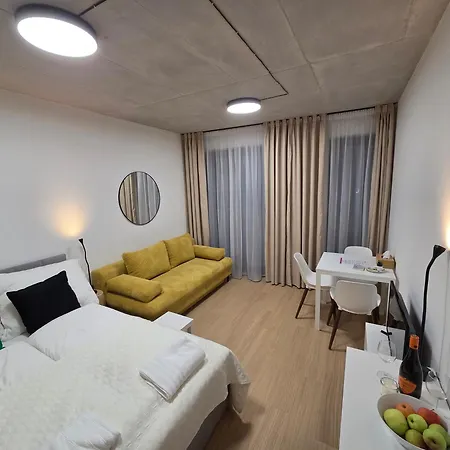 Haas Art With Parking, Bakery, Free Fitness * 브르노