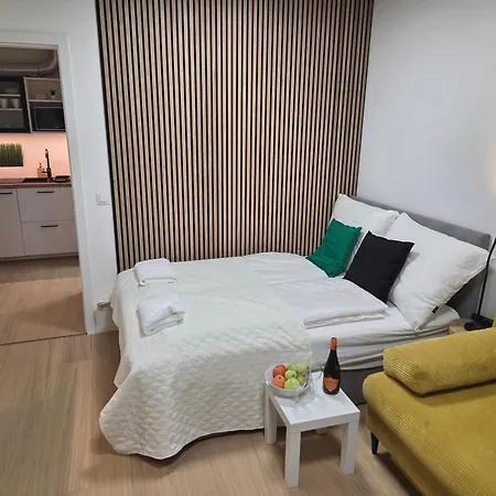 아파트 Haas Art With Parking, Bakery, Free Fitness 브르노