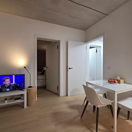 Haas Art With Parking, Bakery, Free Fitness Brno