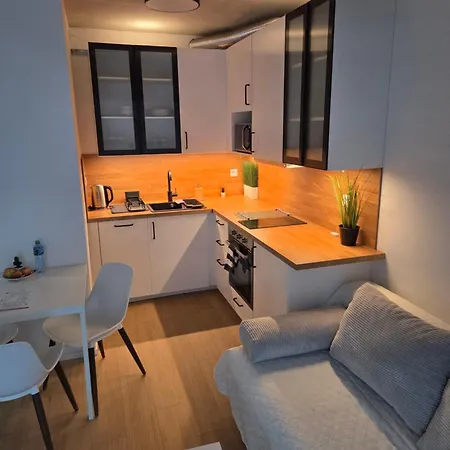 Haas Art With Parking, Bakery, Free Fitness Appartement Brno
