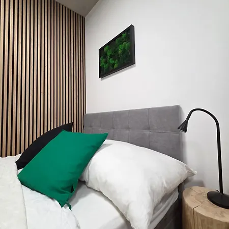 Haas Art With Parking, Bakery, Free Fitness Brno