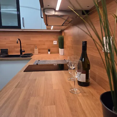 Appartement Haas Art With Parking, Bakery, Free Fitness Brno