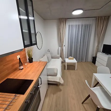 Haas Art With Parking, Bakery, Free Fitness * 브르노