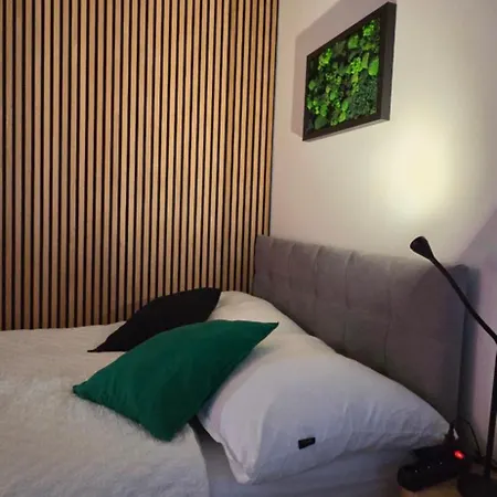 Apartament Haas Art With Parking, Bakery, Free Fitness