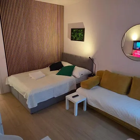 Haas Art With Parking, Bakery, Free Fitness * Brno